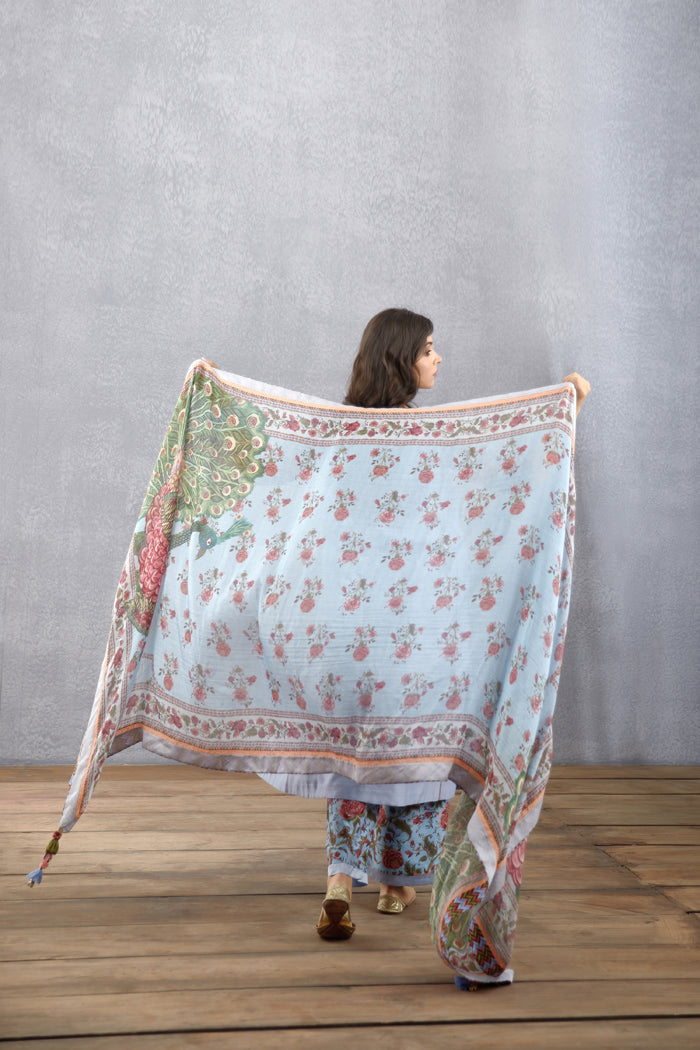 Samsara Sarangi Odhni