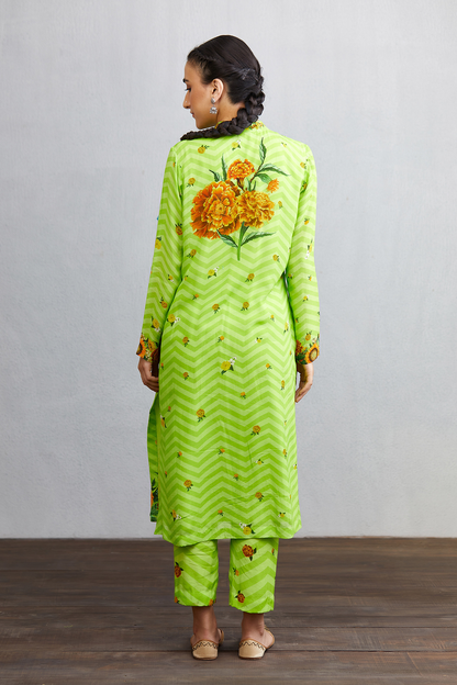 Angoori Hiraman Tota Co-ord Set