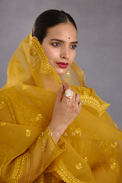 Sunehra Sutlej Odhni