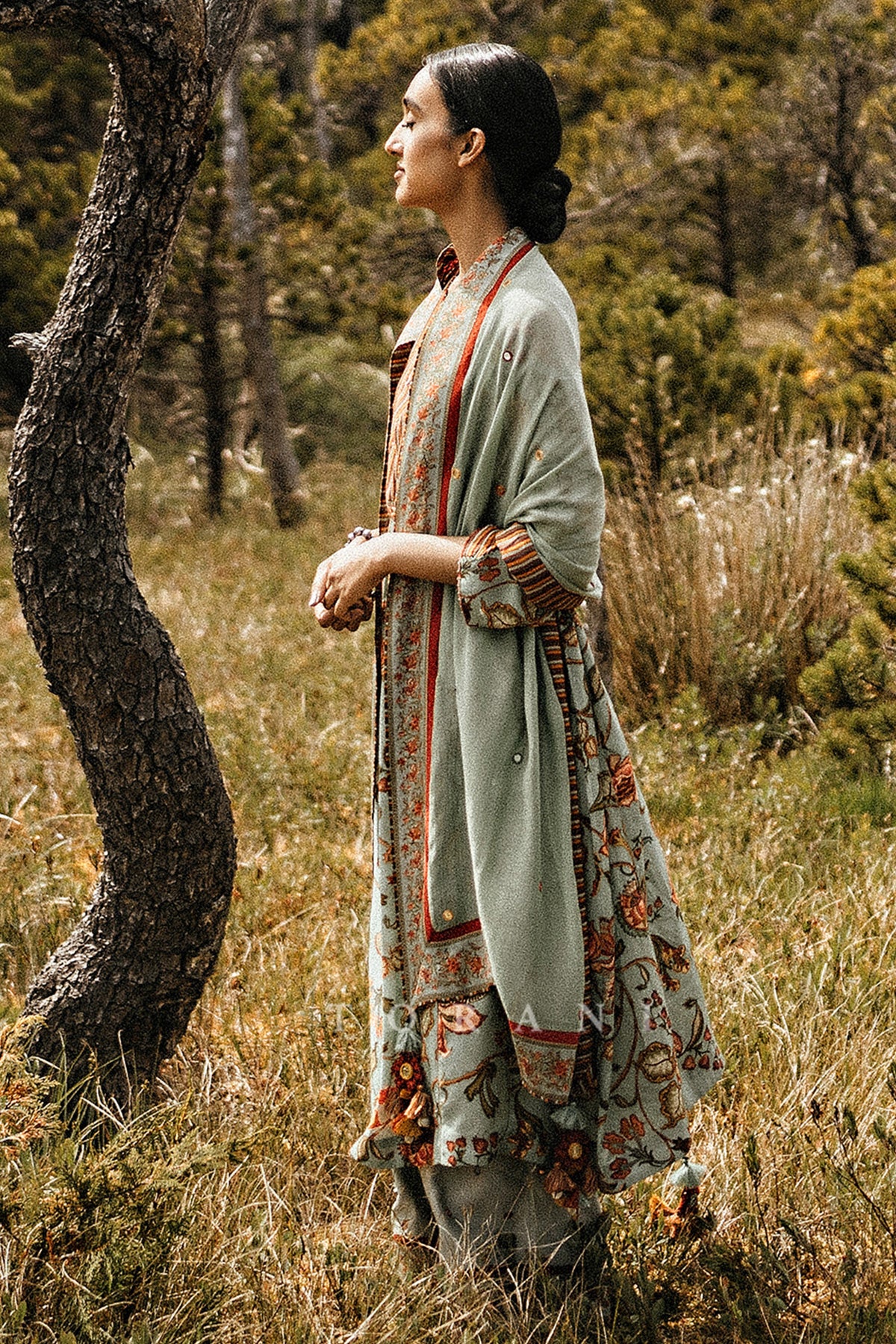 Harsukh in our Champa Sheesha Waraq Tara Kurta Set