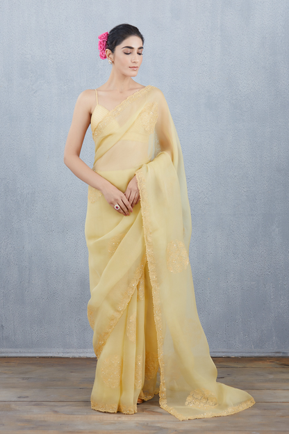 Sunehra Aadira Saree