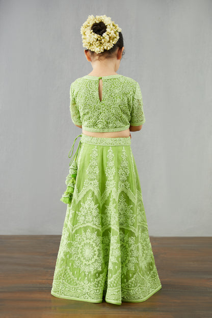 Angoori Meher Paasa Lehenga Set