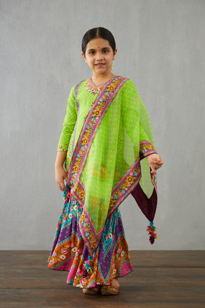 Angoori Hansara Sharara Set