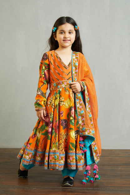 Santree Mastani Anarkali Set
