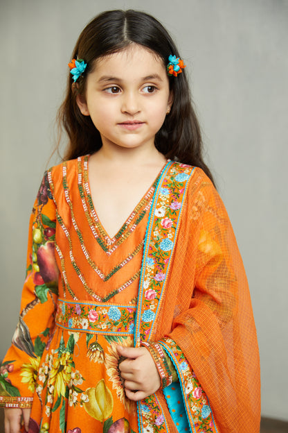 Santree Mastani Anarkali Set