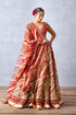 Wedding Lehenga set in Butterfly Net