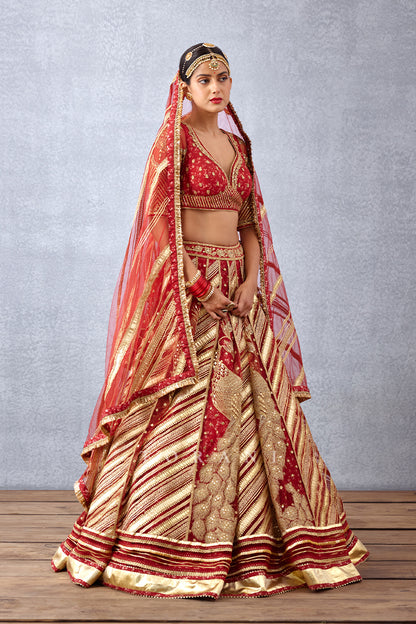 Bridalwear Lehenga choli set in Butterfly Net
