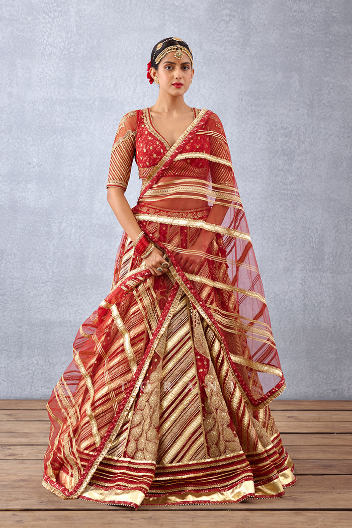 Luxury Bridal Lehenga set in Butterfly Net