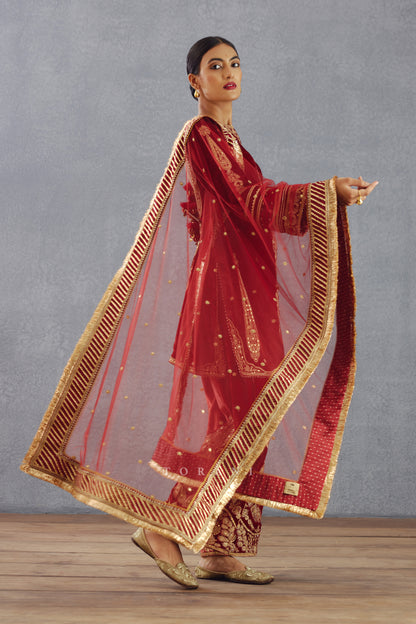 Got Embroidered dupatta in Silk Organza