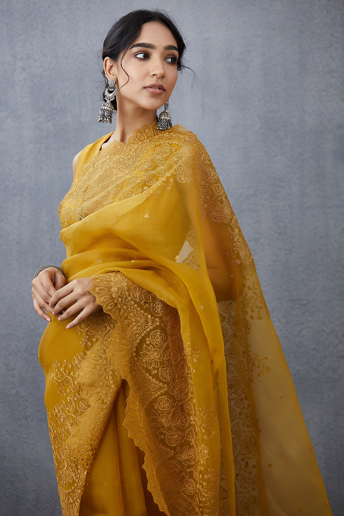 Sunehra Farrin Saree