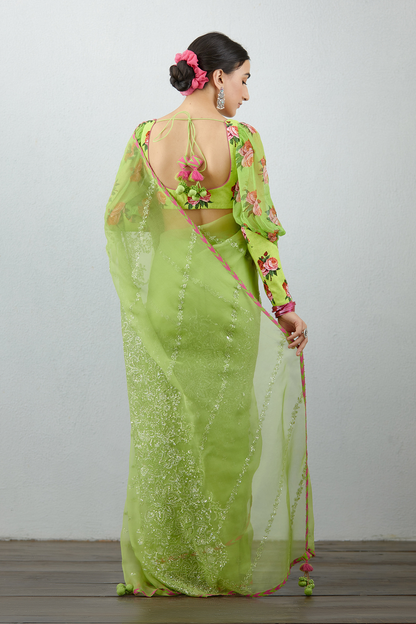 Angoori Tabassum Saree