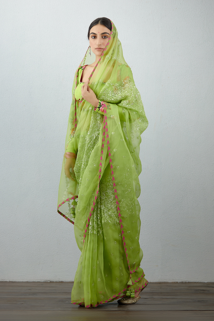 Angoori Tabassum Saree