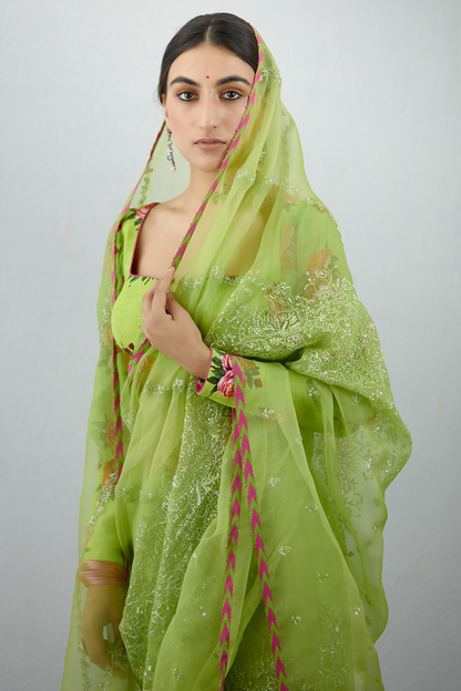 Angoori Tabassum Saree