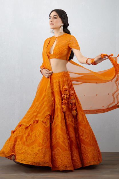 Santree Bushra Lehenga Set