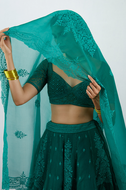 Sabz Mehreen Passa Lehenga Set