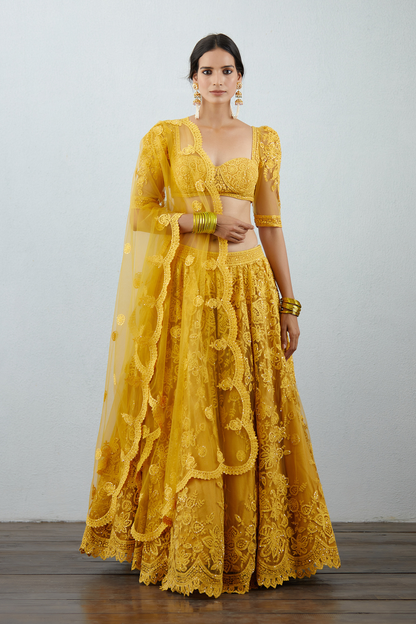 Sunehra Hansini Lehenga Set