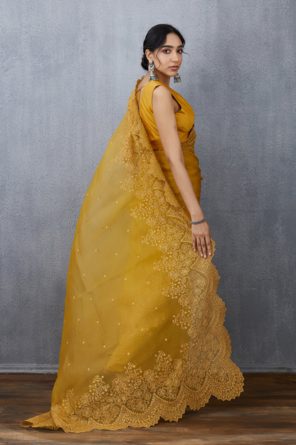 Sunehra Farrin Saree