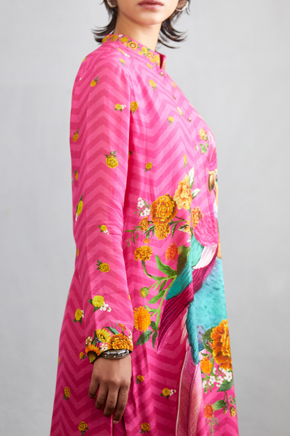 Rang Rani Hiraman Tota Co-ord Set