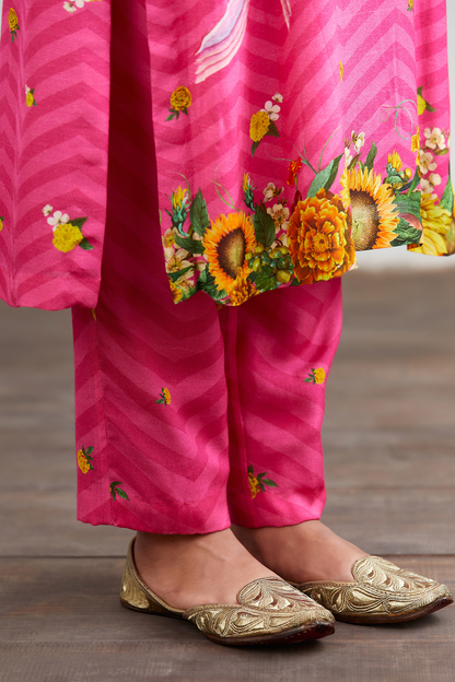 Rang Rani Hiraman Tota Co-ord Set