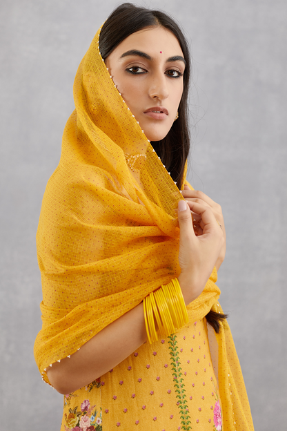 Sunehra Shabnam Kurta Set