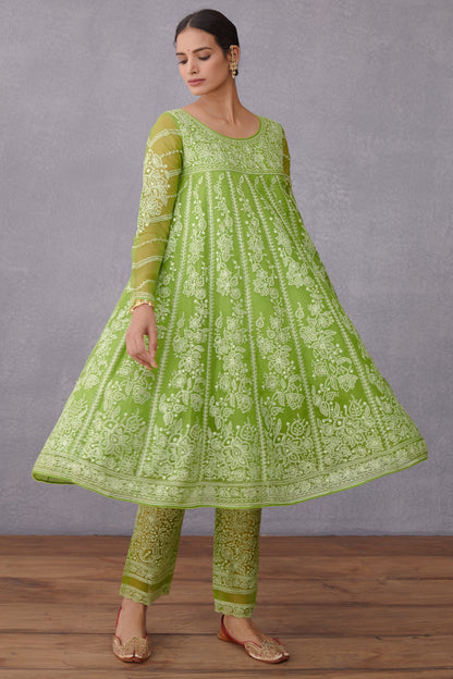 Aaari Embroidered Green Paavni Julaba Set in Silk Organza