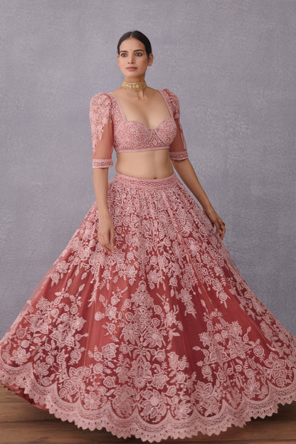 Gulbaag Hansini Odhni