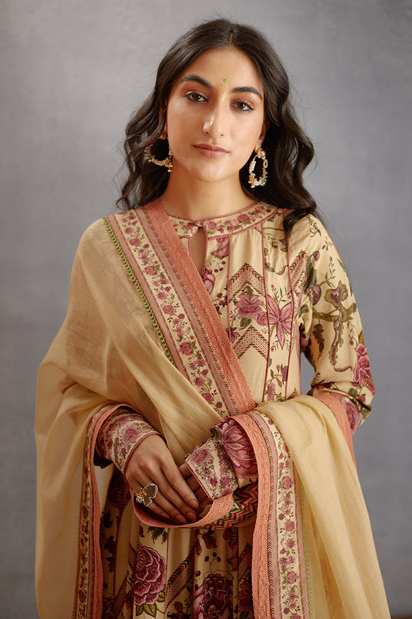 Musk Beige Plain Odhni With Printed Border In Handwoven Thin Chanderi