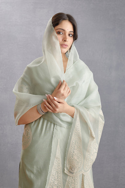 Jaituni Nitara Odhni