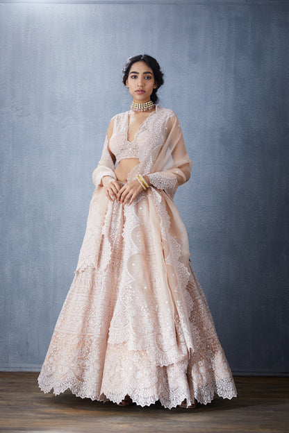 Neera Advaita Lehenga Set