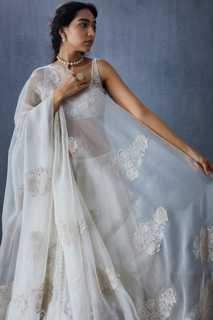 Swetah Mrinal Odhni