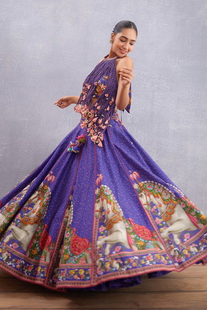 Jamuni Ashwamedha Lehenga Set